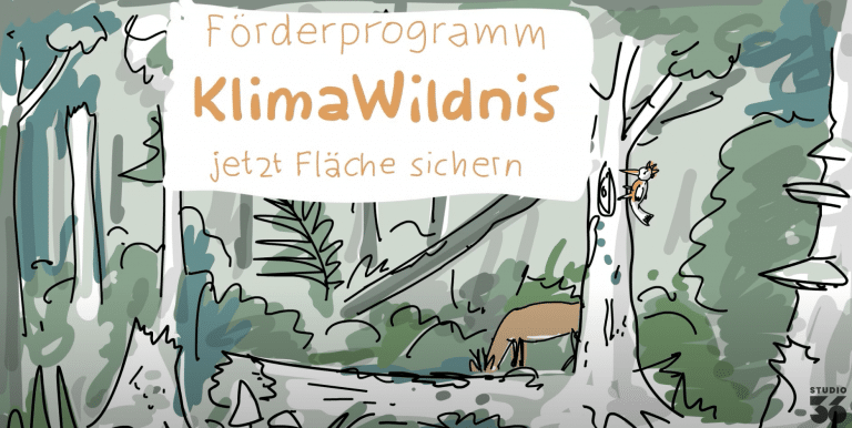 Illustration eines Waldes mit einem Reh und einem Baum, darüber der Text "Förderprogramm KlimaWildnis jetzt Fläche sich...